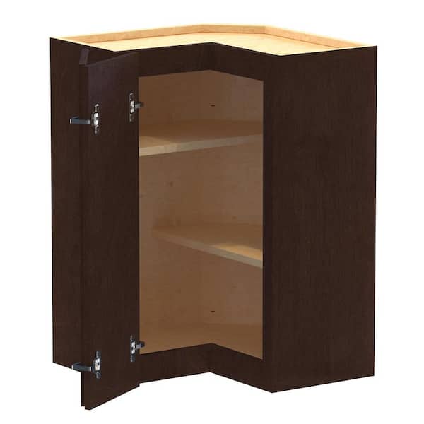Home Decorators Collection Newport 21 in. W x 12 in. D x 30 in. H Assembled Plywood Corner Wall Kitchen Cabinet in Manganite with Shelves