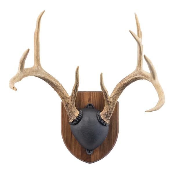 Walnut Hollow Solid Walnut Antler Mount Kit