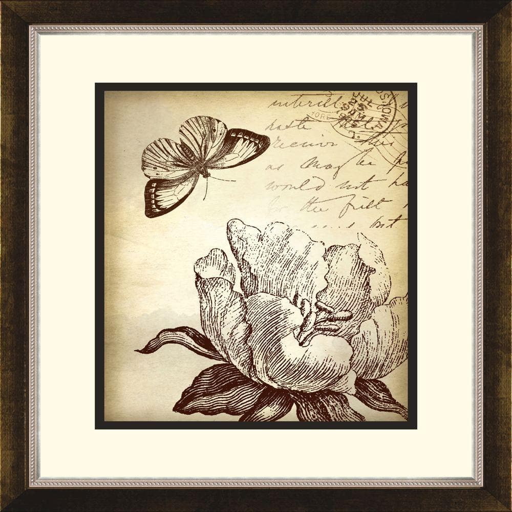 14.5 in. x 16.5 in. Botanical Butterfly A Framed Wall Art