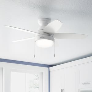 Lilliana 44 in. Indoor Fresh White Ceiling Fan with Light Kit