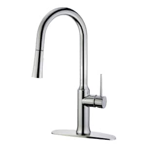 New York Single-Handle Pull-Down Sprayer Kitchen Faucet in Chrome