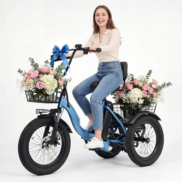 1200W Brushless Motor Folding Trike, 3 Wheel Electric Bicycle for Adults