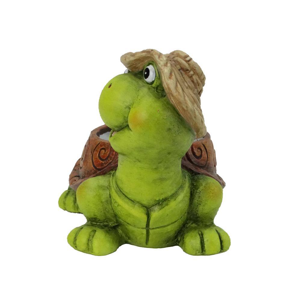 Terracotta Turtle Planter for Small Plants and Succulents