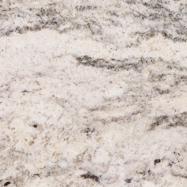 STONEMARK 3 in. x 3 in. Granite Countertop Sample in White Antico