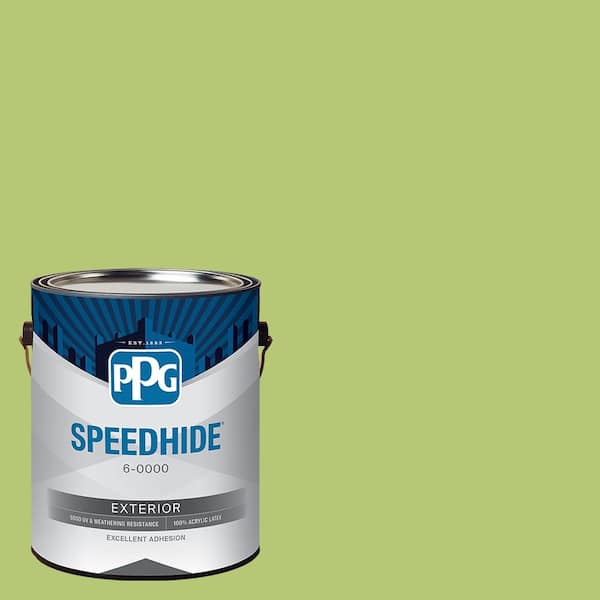 SPEEDHIDE 1 gal. PPG17-27 Fern Glow Flat Exterior Paint