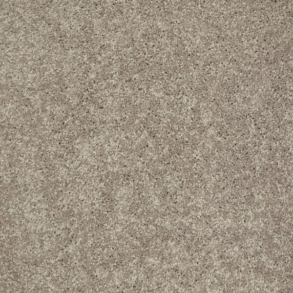 TrafficMaster Palmdale II - Mocha Nut - Brown 31.2 oz. Polyester Texture Installed Carpet