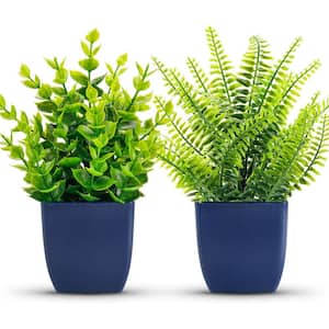 2.56 in. 2-Pack 7.18 in. Blue Indoor Artificial Fern Plant Set