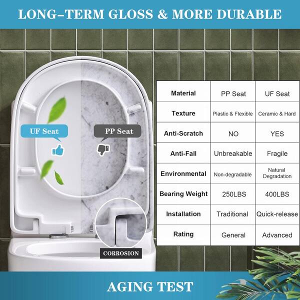 BWE 1-Piece 0.8/1.28 GPF GPF Dual Flush Elongated Modern 12