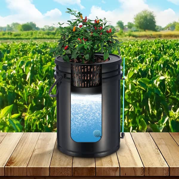 SVOPES DWC Hydroponics Grow System, 5 Gal. Deep Water Culture with