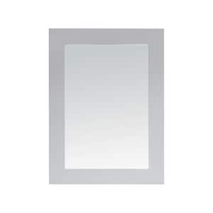 Parkcrest 22 in. W x 30 in. H Rectangular Framed Wall Mount Bathroom Vanity Mirror in Dove Gray