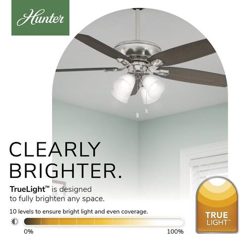 Amberlin 52 in. Indoor Brushed Nickel LED Ceiling Fan with Light Kit Ceiling Fans With Lights