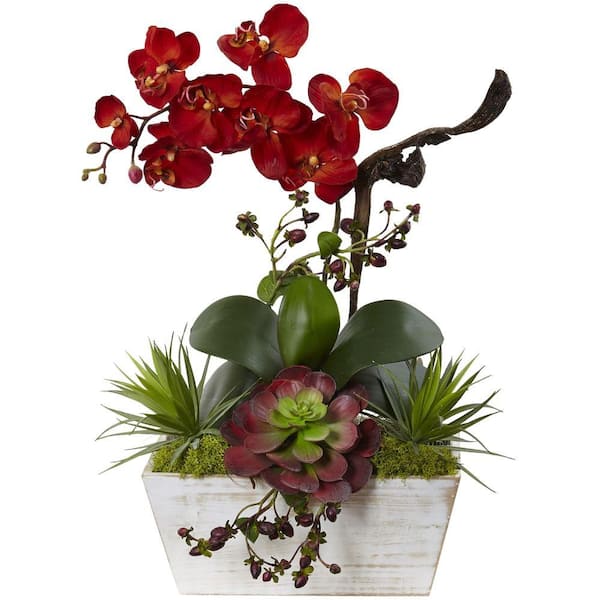 Nearly Natural 21in. Seasonal Orchid and Succulent Garden with White Wash Planter