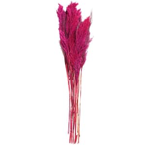 35 in. Pampas Natural Foliage with Long Stems (1 Bundle)