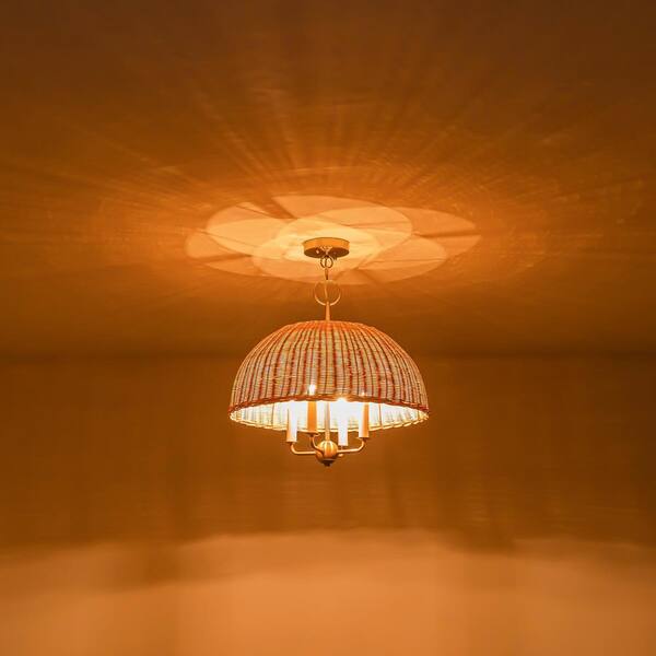 VEMURAM Jan Ray　美品 Vemuram Jan Ray — Echoinox