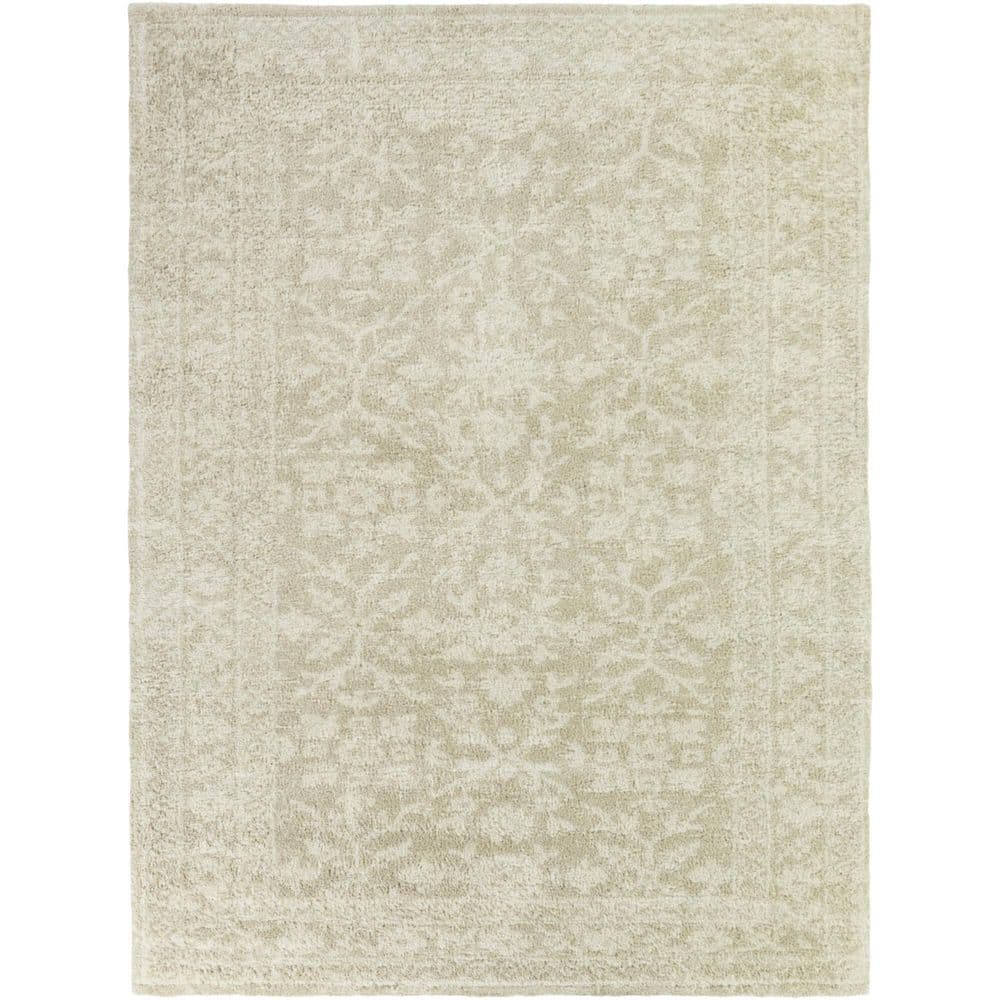 Ariosto 5 ft. x 7 ft. Beige/Cream Area Rug price history on PriceWatchPro
