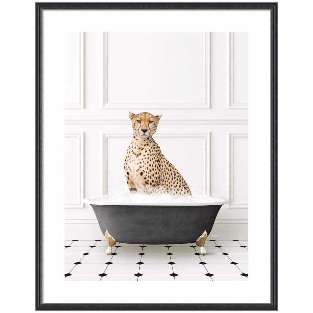 "Stylish ""Cheetah in Classic Black and White Bathtub"" by Amy Peterson Bath Framed Art Print 33 in. x 26 in." price history on PriceWatchPro