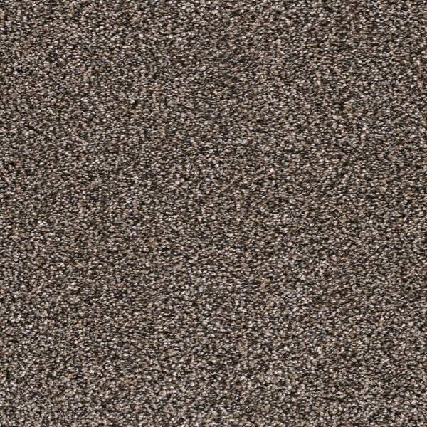 Home Decorators Collection Affectionate I Devoted Brown 40 oz. SD