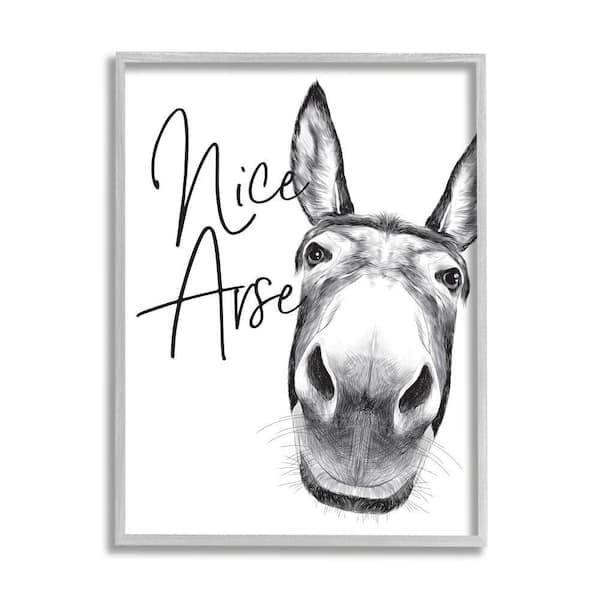 Stupell Industries "Animal Humor Nice Arse Donkey Bathroom Phrase" by Lettered and Lined Framed Animal Wall Art Print 24 in. x 30 in.