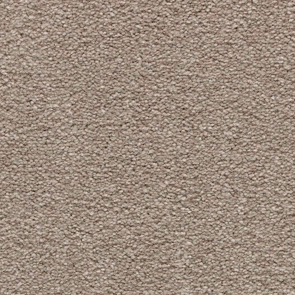 8 in. x 8 in. Texture Carpet Sample - Mason II -Color Henna price history on PriceWatchPro
