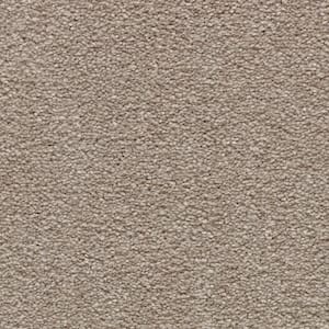 8 in. x 8 in. Texture Carpet Sample - Watercolors I - Color Briar Patch