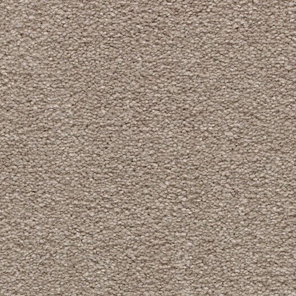 Lifeproof 8 in. x 8 in. Texture Carpet Sample - Mason II -Color Henna