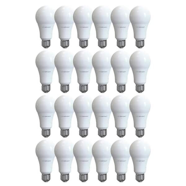 60-Watt EQ A19 E26 General Purpose LED Energy Star Light Bulb 6500K 24-Pack