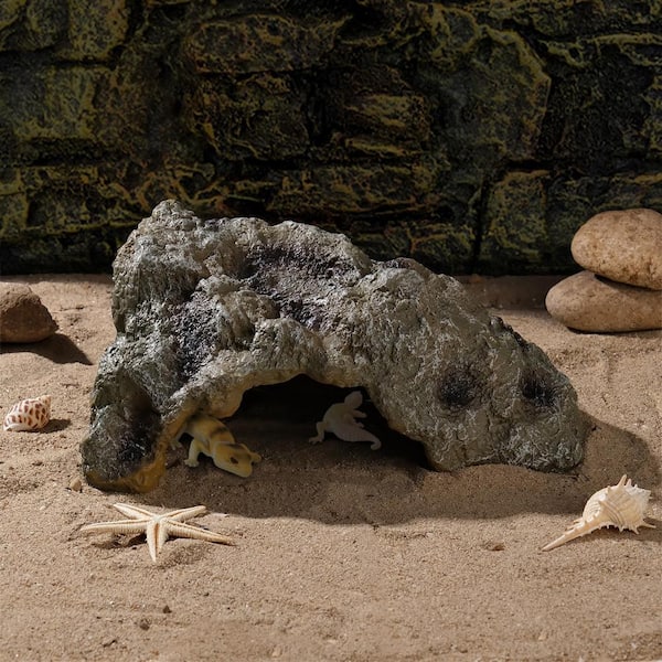 HIDEOUT DAC National Geographic おまけ付 楽天市場】ナショナルジオグラフィック (National Geographic