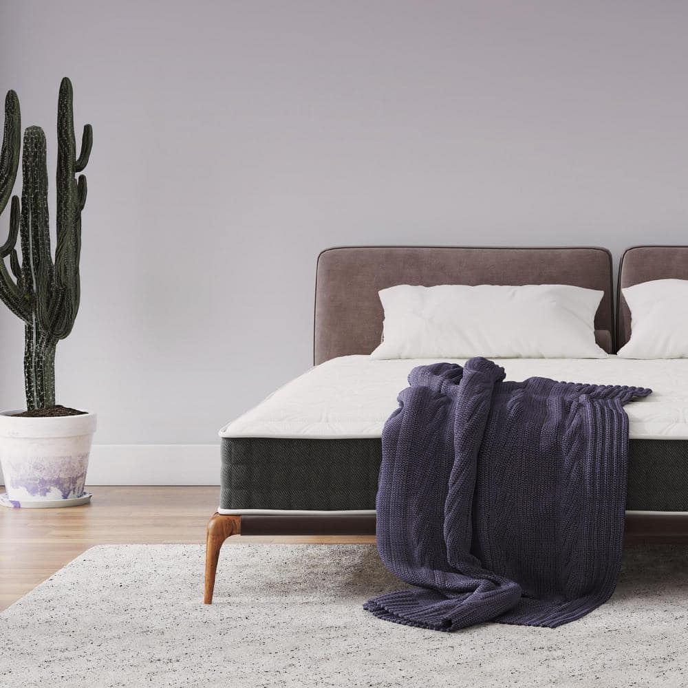 Signature Sleep Contour Comfort 10" MediumFirm Independently Encased