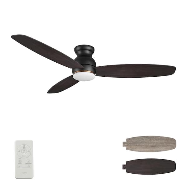 CARRO Arran 60 in. Color Changing Integrated LED Indoor Matte Black 10-Speed DC Ceiling Fan with Light Kit and Remote Control