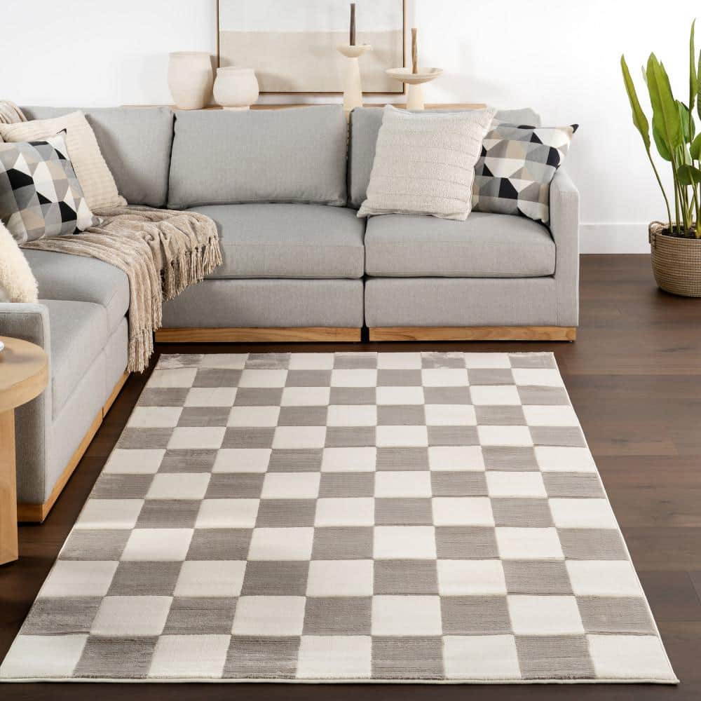 Zhuri Checkered Cream and Gray Machine Washable Area Rug 4' x 6'