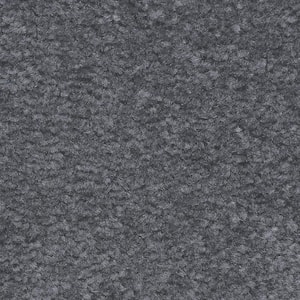 Mason I  - Bayside - Blue 35 oz. Triexta Texture Installed Carpet