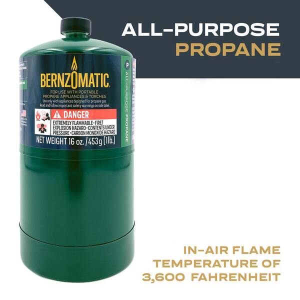 Bernzomatic 1 lb. All-Purpose Propane Gas Cylinder (2-Pack) 332773 - The Home  Depot