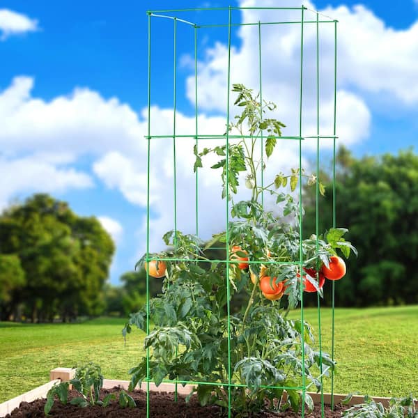 Panacea 47 in. 4-Panel Tomato Tower - Green 89864V - The Home Depot