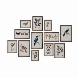 "Insects, Birds, Plants and Fruit" Wood Framed Nature Glass Wall Art Print 17.8 in. x 12.4 in. . (Set of 12)