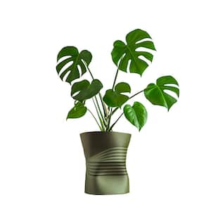Brent MidCentury Modern Indoor Crushed Can Eco-Friendly PLA Plastic 3D Printed Planter with Drainage, Olive