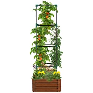 Raised Garden Bed 24 in. x 24 in. x 11.75 in. Galvanized Steel Planter with Tomato Cage Open Bottom Climbing Vines Brown