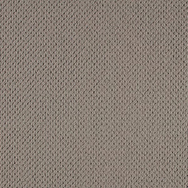Lifeproof with Petproof Technology 8 in. x 8 in. Pattern Carpet Sample - Beyond Cozy -Color Plush