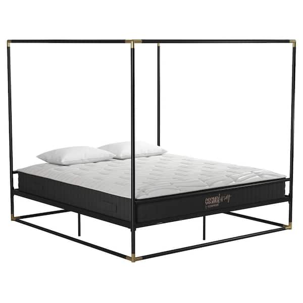 Cosmoliving By Cosmopolitan Celeste Black Gold Canopy Metal King Size Bed Frame 4456049cl The Home Depot