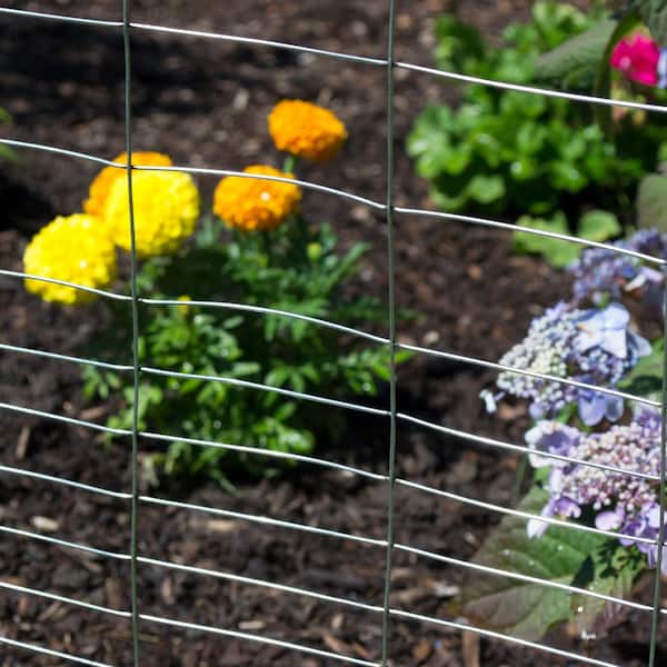 YARDGARD 40 in. x 50 ft. 16-Gauge Galvanized Steel Welded Wire Rabbit Fence