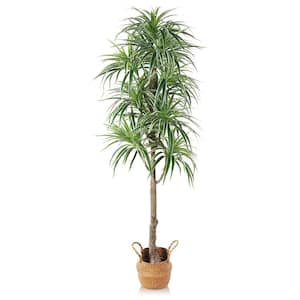 60 in. Artificial Dracaena Tree in Woven Seagrass Basket