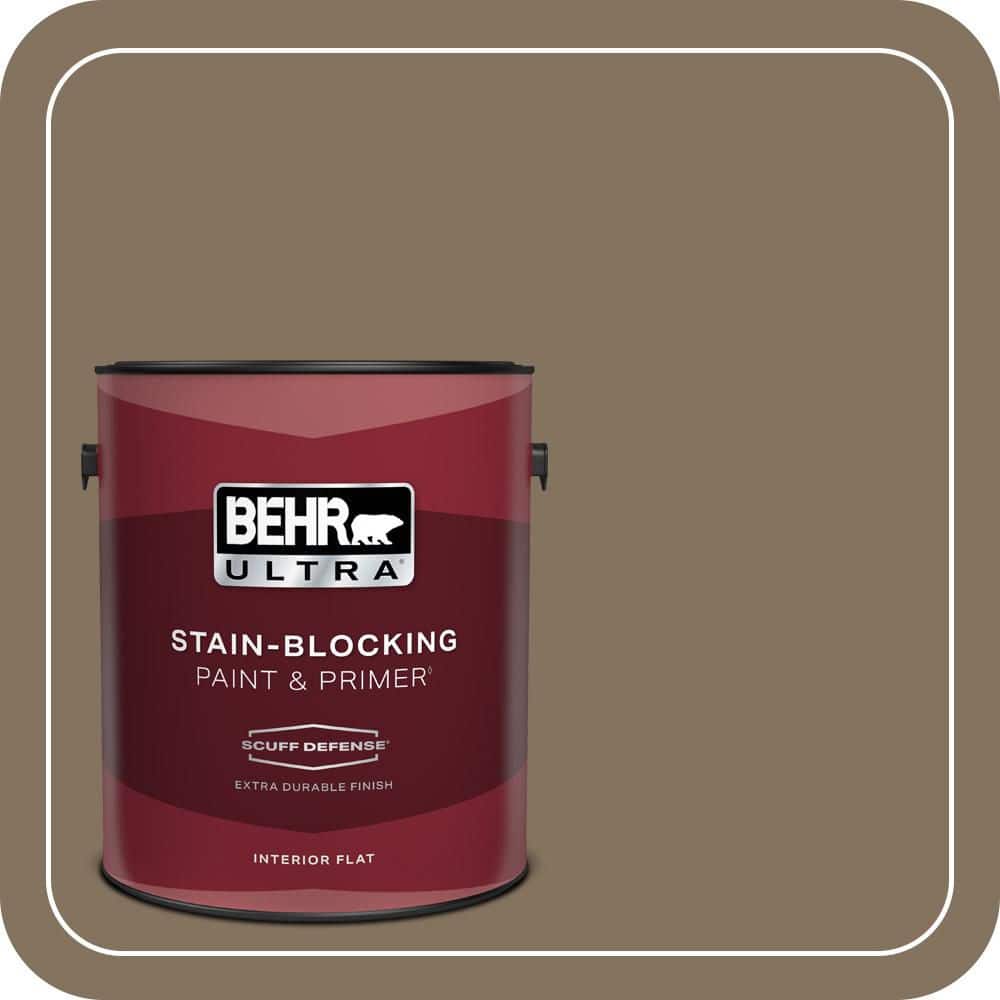 1 gal. #BXC-05 Mudslide Extra Durable Flat Interior Paint & Primer price history on PriceWatchPro