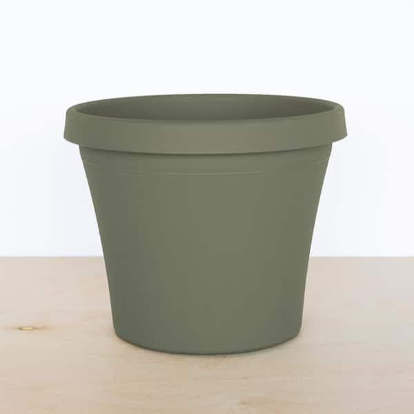 Terra 10 in. Living Green Plastic Planter