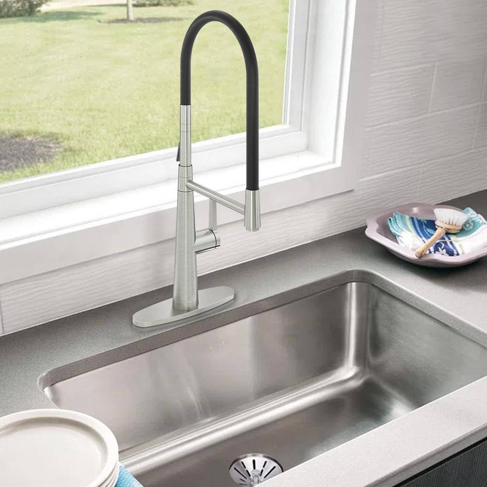 Brushed Nickel Single-Handle Kitchen Faucet with Dual-Function Spray Head