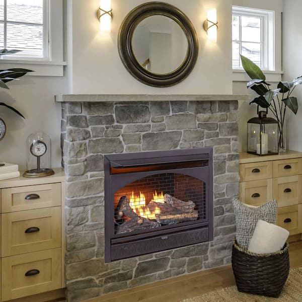 Natural Gas Indoor Fireplace Insert, Procom Propane Vent Free Fireplace