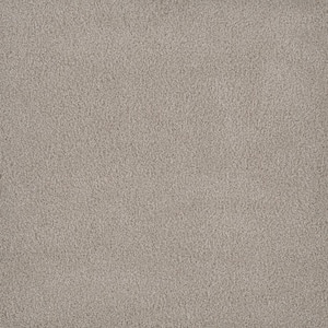Sawyer - Noble - Gray 40 oz. SD Polyester Texture Installed Carpet