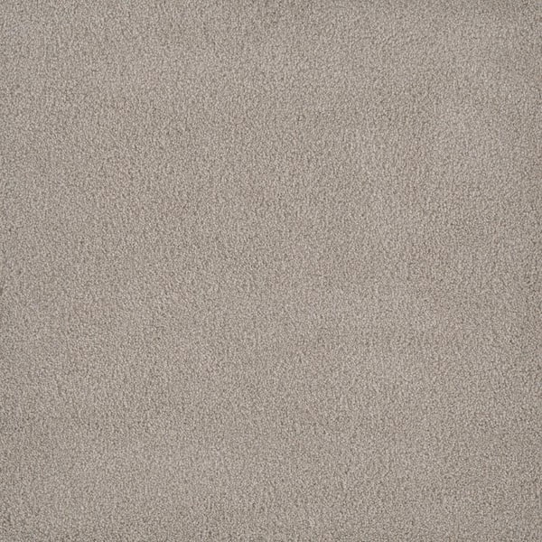 Home Decorators Collection Sawyer - Noble Gray - 40 oz. SD Polyester Texture Installed Carpet