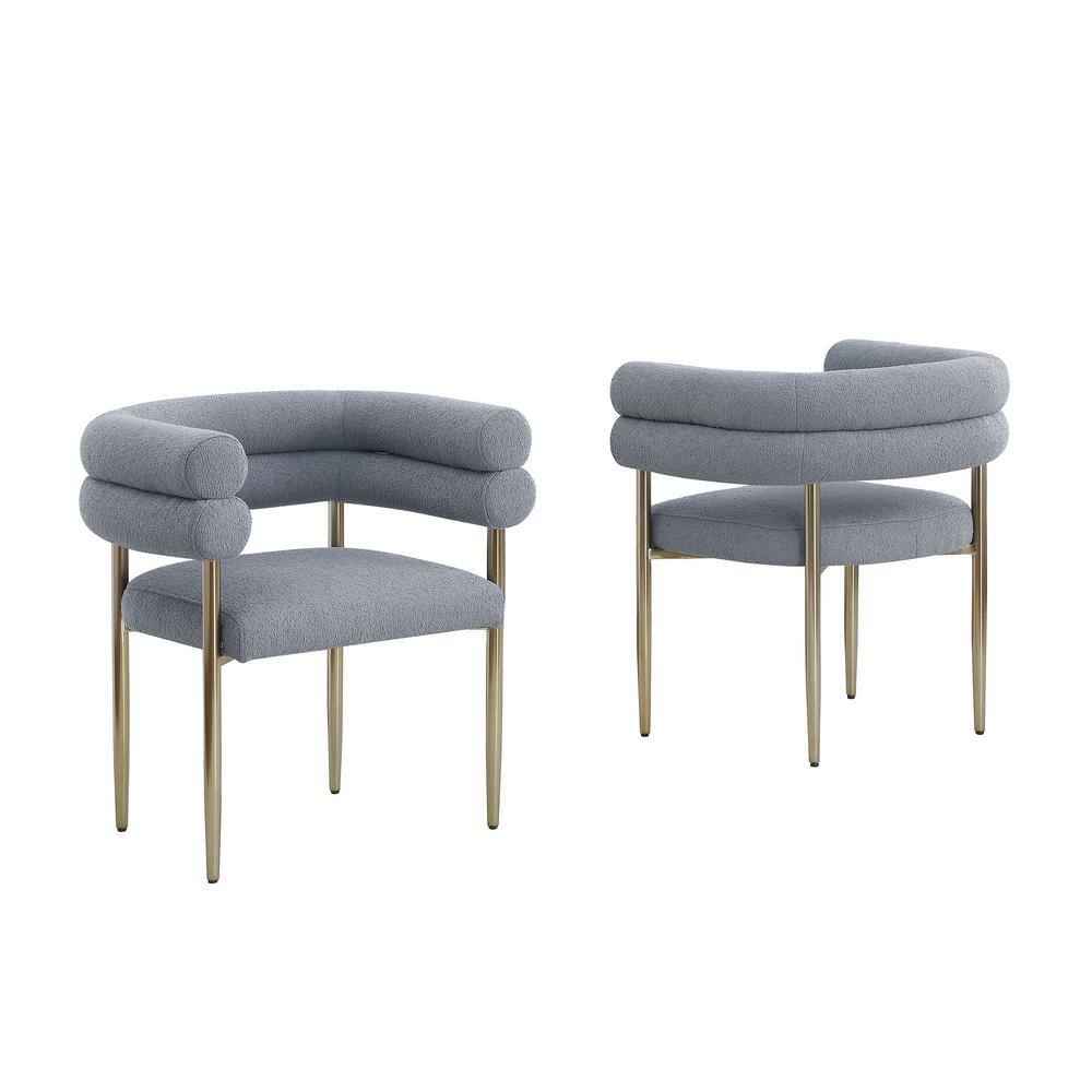 Mireya Grey Teddy Fur Upholstery Side Chair Set of 2 With Gold Chrome Iron Legs price history on PriceWatchPro