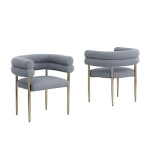 Mireya Grey Teddy Fur Upholstery Side Chair Set of 2 With Gold Chrome Iron Legs