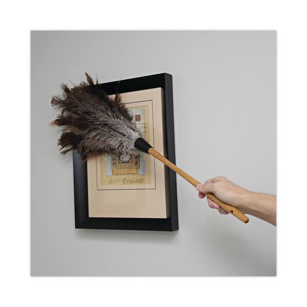 Wool Shop 20 in. Ostrich Feather Duster HFD20 - The Home Depot