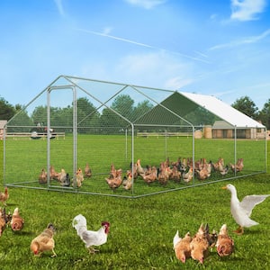 Poultry Fencing Large Metal Chicken Coop, 9.8 x 19.3 x 6.5 ft. Walk-in Chicken Runs for Yard with Cover Spire Roof Hen